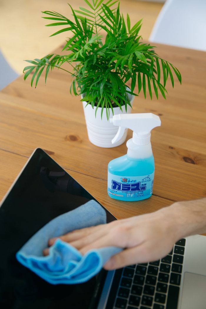 Close-up view of someone wiping a laptop screen with a blue cloth and spray cleaner, beside a houseplant.